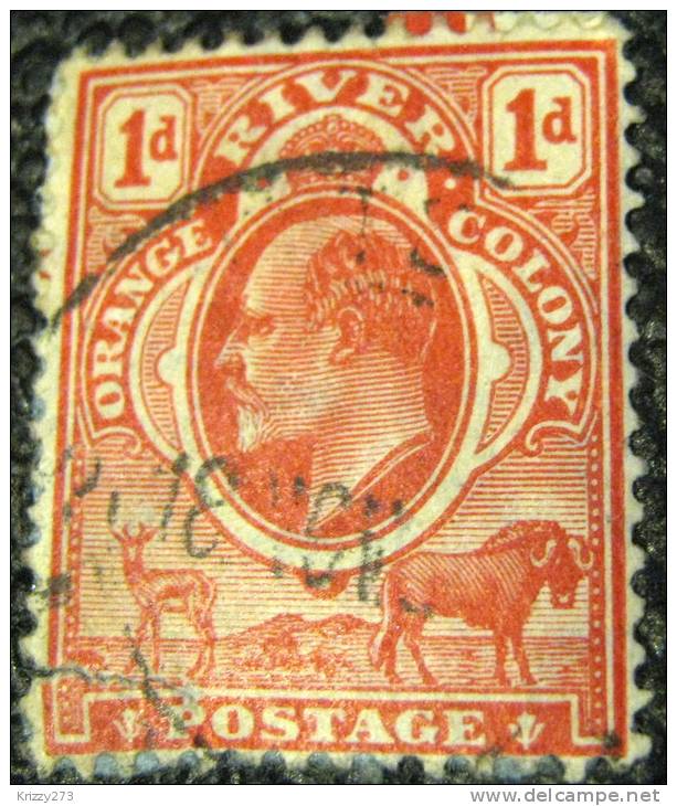 Orange River Colony 1903 King Edward VII 1d - Used - Orange Free State (1868-1909)