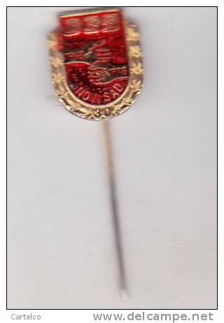 Serbia  Yugoslavia  Old Pin Badge  - Novi Sad - DES 1948-1978 - Pin-ups