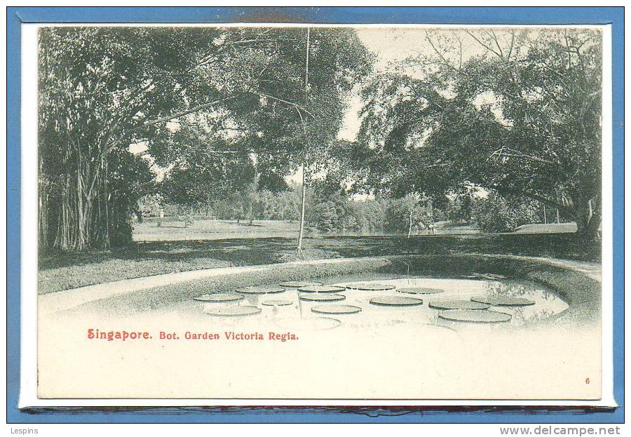 ASIE - SINGAPORE --  Bot. Garden Victoria Regia - Singapur