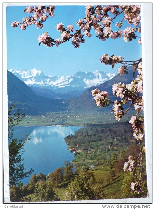 CP Photo Sarnersee Mit Giswil Wetterhorn Agfa C 185 Voyagé 1965 Timbre Cachet Wilen - Giswil