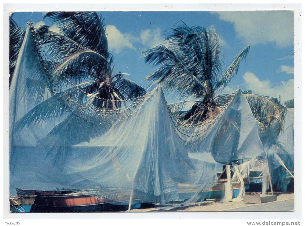 Martinique-- Séchage Des Filets De Pêche-Drying Of Fishing Nets,cpm N°7295 éd Hachette (Iris-Export)--EMA Trois Ilets - Autres & Non Classés