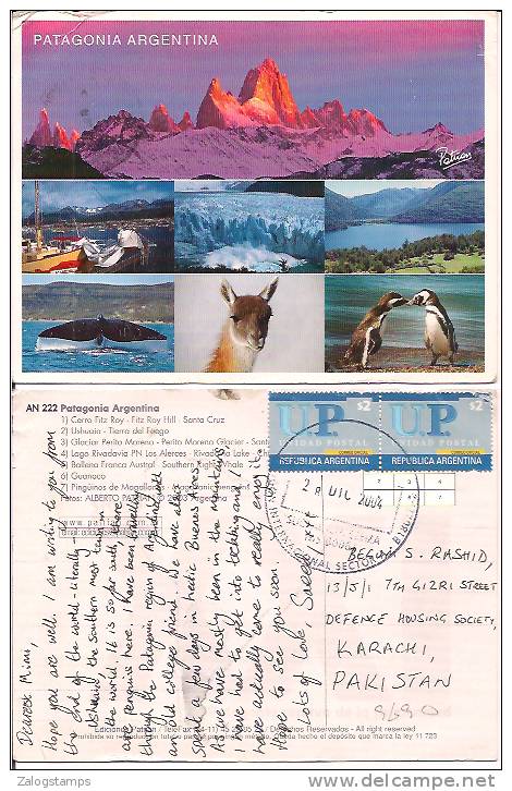 Argentina Airmail Postcard Stamps, Animals, Birds Postal Markings (9690) - Storia Postale