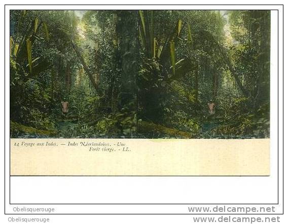 JAVA Indes Neerlandaises ANIMATION LL N ° 14 JUNGLE  1900  SERIE ROUTE INDES CARTE STEREO TOP TOP - Indonesien