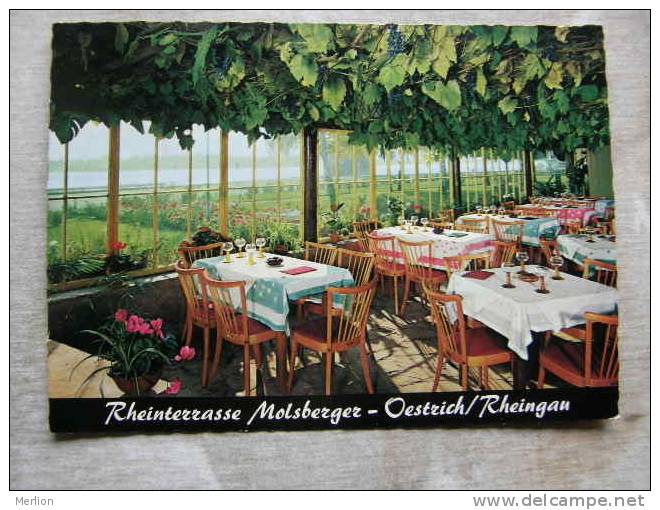 Molsberger's Rheinterrasse Und Weinstube - OESTRICH / RHIENGAU    D94988 - Rheingau