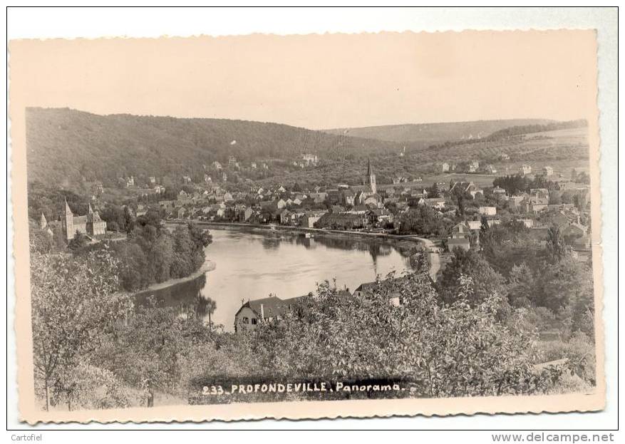 PROFONDEVILLE-PANORAMA-CARTE-PHOTO-MOSA-ENVOYEE - Profondeville