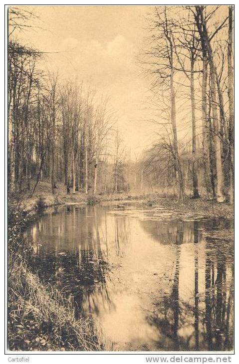 BOITSFORT-ETANG DE L´ERMITE-G.EMPAIN-LIGUE DES AMIS DE LA FORET DE SOIGNIES-VOYEZ 2 SCANS-CARTE ENVOYEE - Watermaal-Bosvoorde - Watermael-Boitsfort