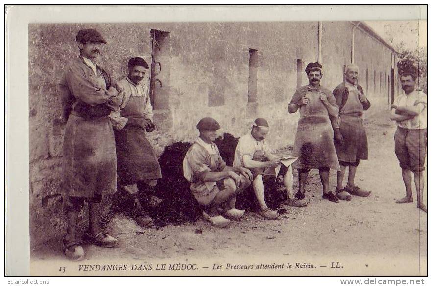 Gironde  33. Vendanges Dans Le Médoc.. Les Presseurs Attendent Le Raisin ...Viticulture - Other & Unclassified