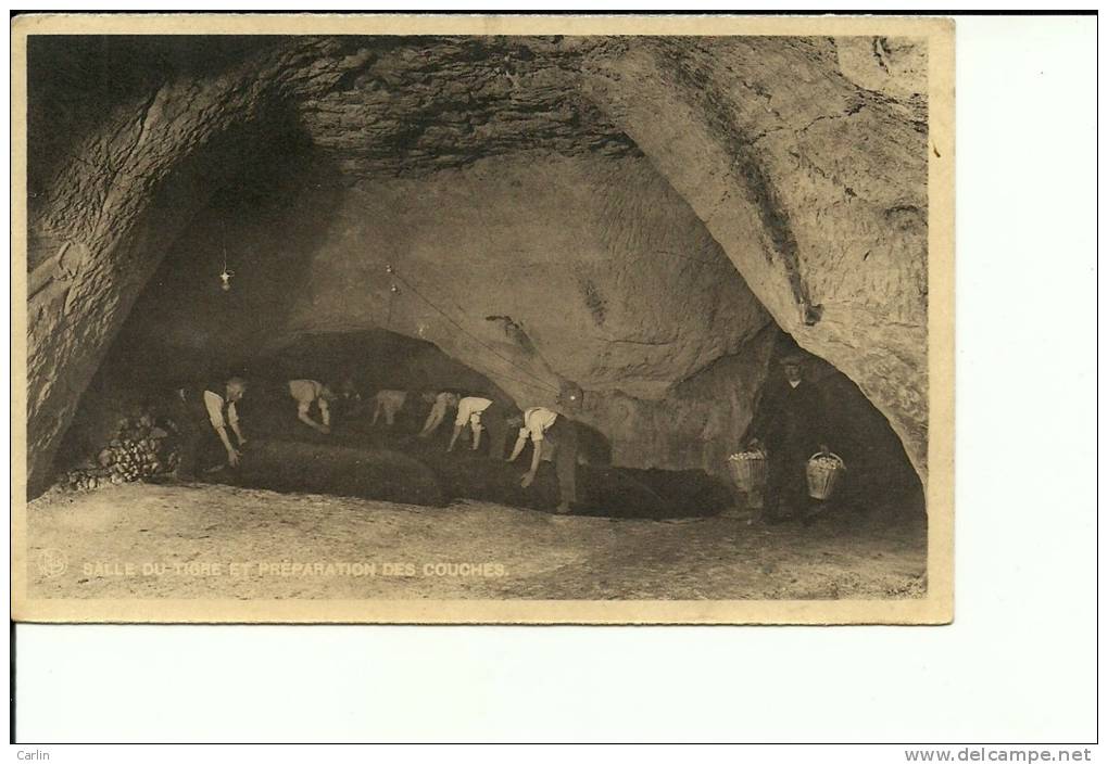 Folx Les Caves Salle Du Tigre Et Préparation Des Couches - Orp-Jauche