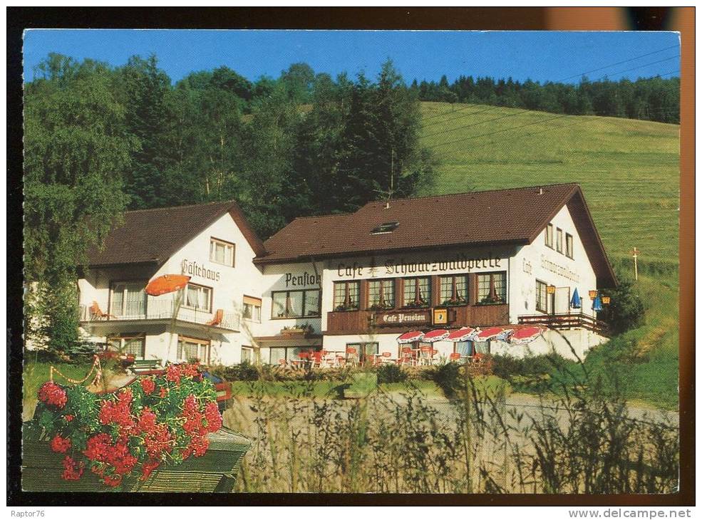 CPM Commerciale Non écrite Allemagne ELZACH OBERPRECHTAL Café Pension Familie Jäkle - Elzach