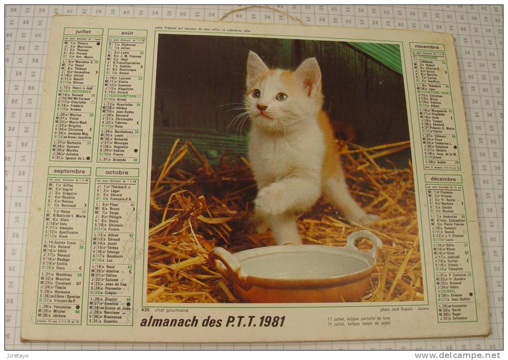 Almanach Des PTT, Oise, Année 1981, Ref Perso 493 - Formato Grande : 1981-90