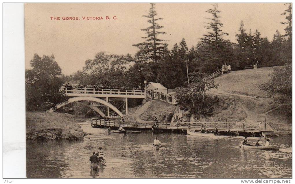 The Gorge Victoria BC 1905 Postcard - Victoria