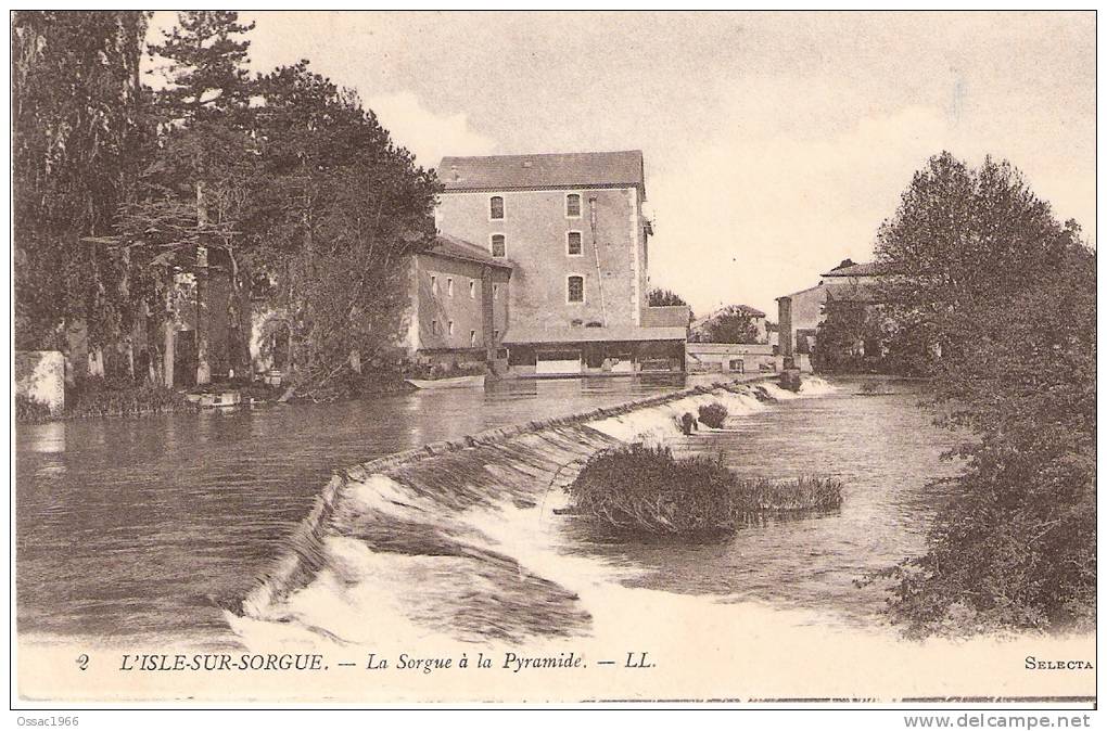 84 L ISLE SUR SORGUES La Sorgue A La Pyramide - L'Isle Sur Sorgue