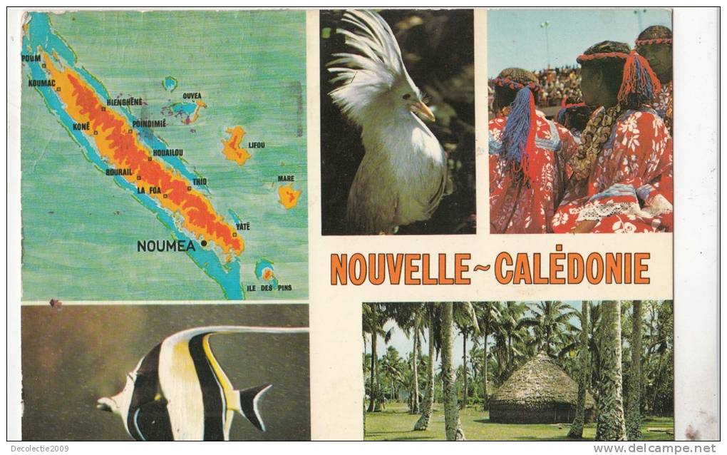 BR49577 Noumea Nouvelle Caledonie Ile Du Printemps Eternel    2 Scans - Nueva Caledonia