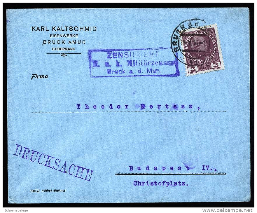 A1509) Austria Österreich Drucksache-Brief Von Bruck 24.5.1916 Mit ZENSUR Bruck A.d.Mur - Briefe U. Dokumente