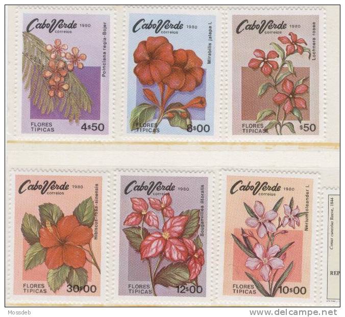 CABO VERDE 1980 FLORES TIPICAS DE CABO VERDE  FLEURS TIPIQUES DE CAPE VERDE   TYPICAL FLOWERS OF CAPE VERDE - Cape Verde