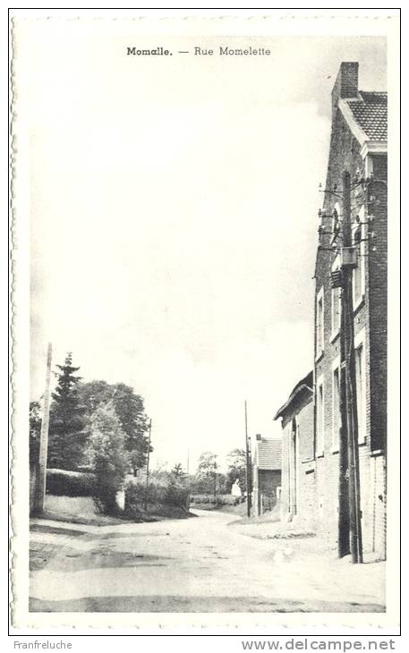 MOMALLE (4350) Rue Momelette (carte Verticale ) - Remicourt