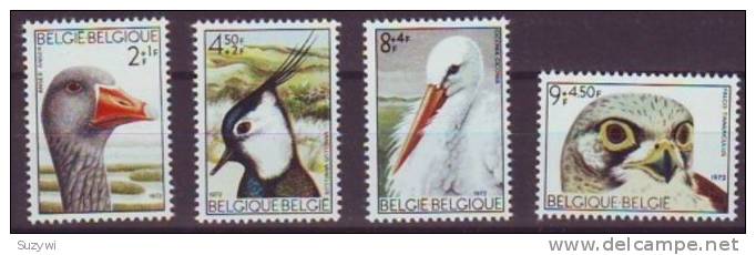 Belgium**Birds-Falcon Kestrel-Stork-Lapwing-4va Ls-1972-Birds Of Prey-Oiseaux-Rapace-Cigog Ne-Storch-Oie-Ooievaar - Águilas & Aves De Presa