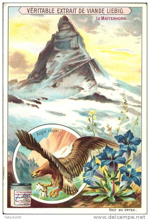 Image Publicitaire - LIEBIG - Le Matterhorn - Aigle Royal - Gentiane - Autres & Non Classés