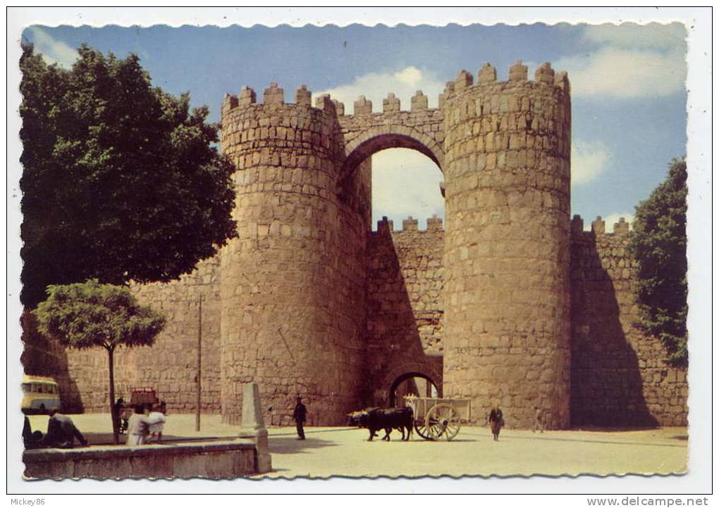 Espagne--AVILA--1961--Por Te De St Vincent (animée,attelage De Boeufs),cpsm 10 X 15 N° 602  éd Garrabella--Belle Carte - Ávila