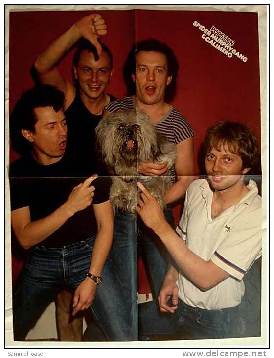 Musik-Poster  Spider Murphy Gang  -  Rückseite : Frank Zander 3D ,  Von Popcorn Ca. 1982 - Posters