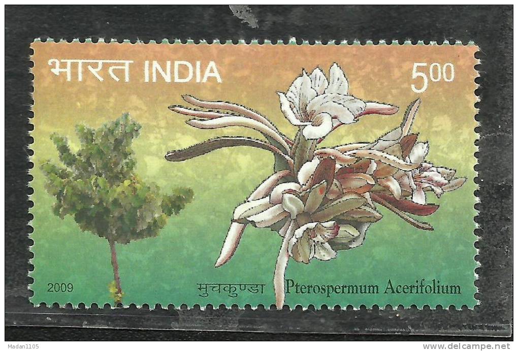 INDIA, 2009, Pterospermum Acerifolium, "Muchkunda",  Flower, (Bayer Tree), MNH,(**) - Nuevos