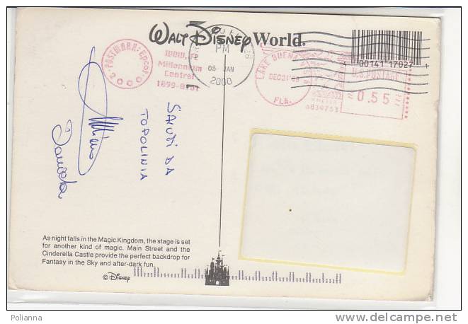 PO7496B# FLORIDA - WALT DISNEY WORLD - PARCO DIVERTIMENTI - FUOCHI D'ARTIFICIO  VG 2000 - Disneyworld