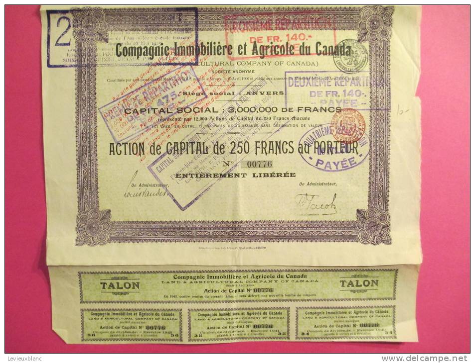 Compagnie Immobiliére Et Agricole Du CANADA/Action De Capital De 250 Francs Au^porteur/Anvers /1906        ACT38 - Agriculture