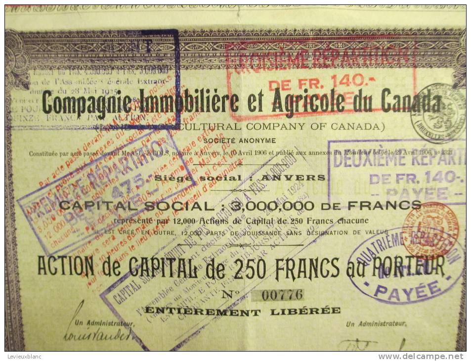 Compagnie Immobiliére Et Agricole Du CANADA/Action De Capital De 250 Francs Au^porteur/Anvers /1906        ACT38 - Landwirtschaft