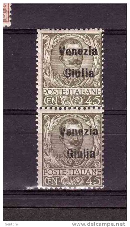 ITALY - VENEZIA GIULIA  1918-19 Overprinted  Sassone Cat N° 26 Very Fine MNH  Toned Gum - Venezia Giulia