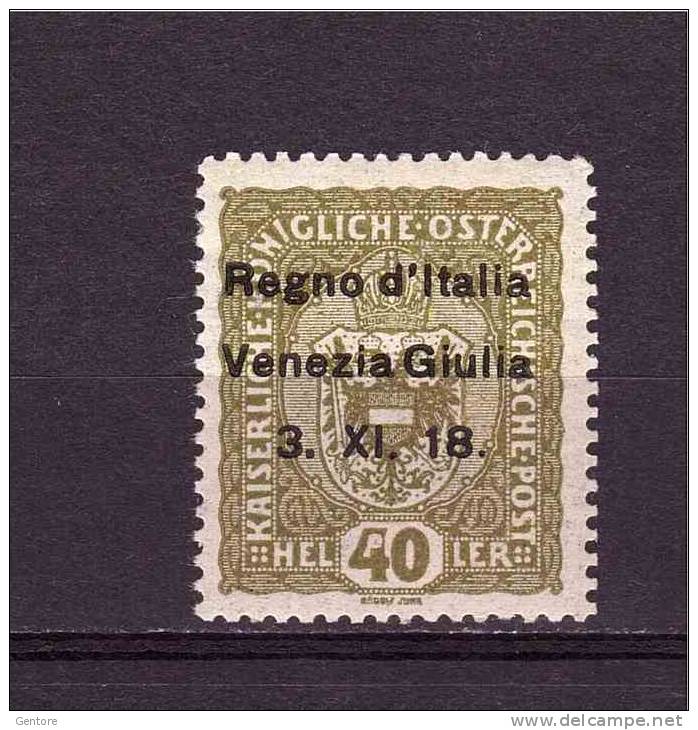 ITALY - VENEZIA GIULIA  1918 Austrian Stamps Overprinted Sassone Cat N° 10  Very Fine MINT Trace Of Hinge - Vénétie Julienne