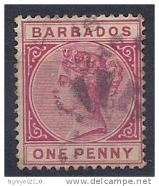 130101169  BARB  C.I.   YVERT  Nº 40 - Barbados (...-1966)