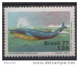 Brazil 1977 - Mi 1597- MNH - Unused Stamps