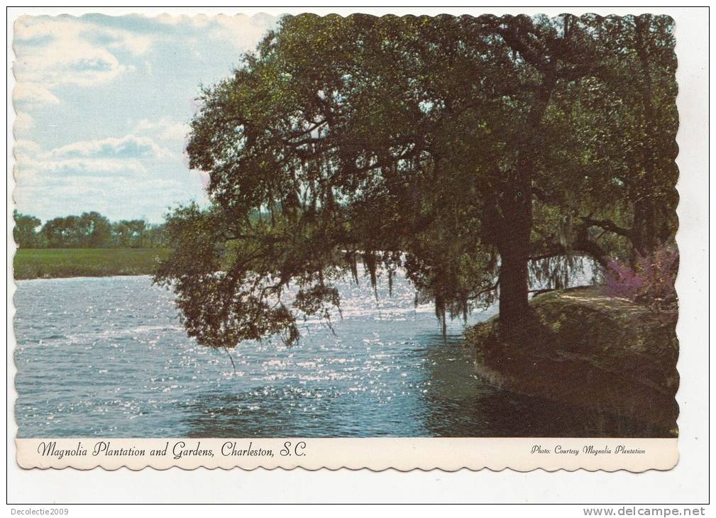 BR49864 Magnolia Platation And Gardens Charlston      2 Scans - Charleston