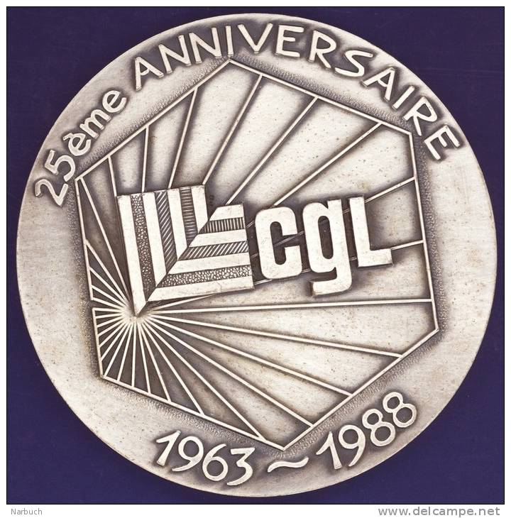 MEDAILLE  25 ème Anniversaire CGL 1963 - 1988, Pichard Poinçon Bronze - Professionals / Firms