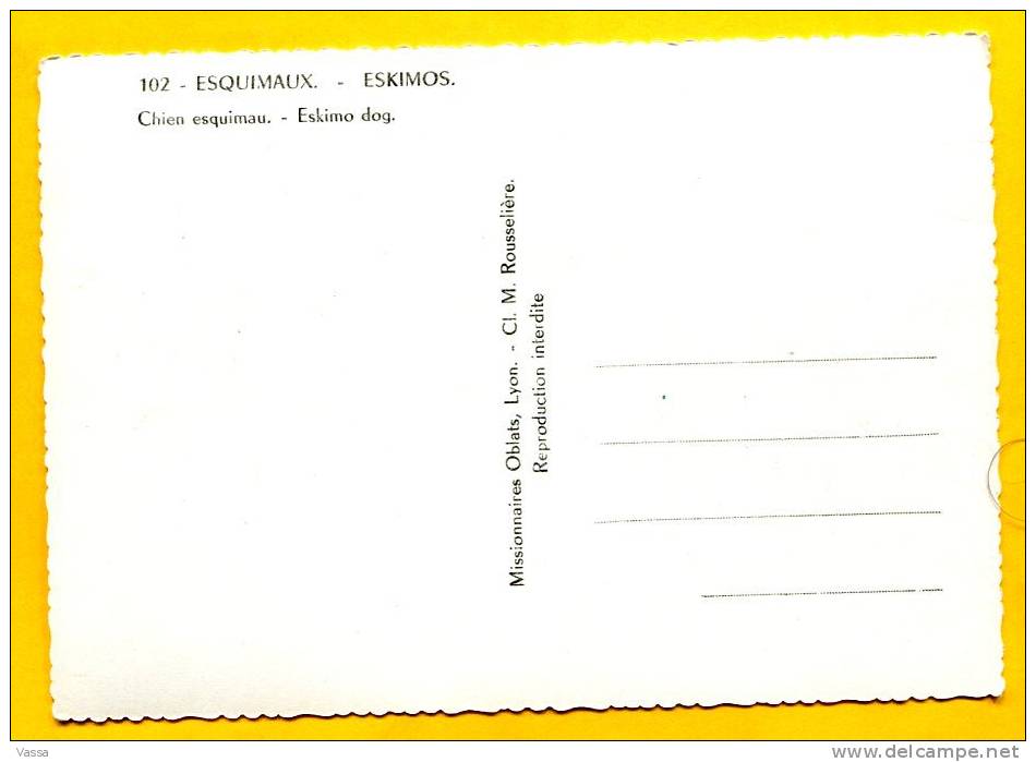 Eskimos Dog. Missionnaires OBLATS No.102. CANADA - Sonstige & Ohne Zuordnung