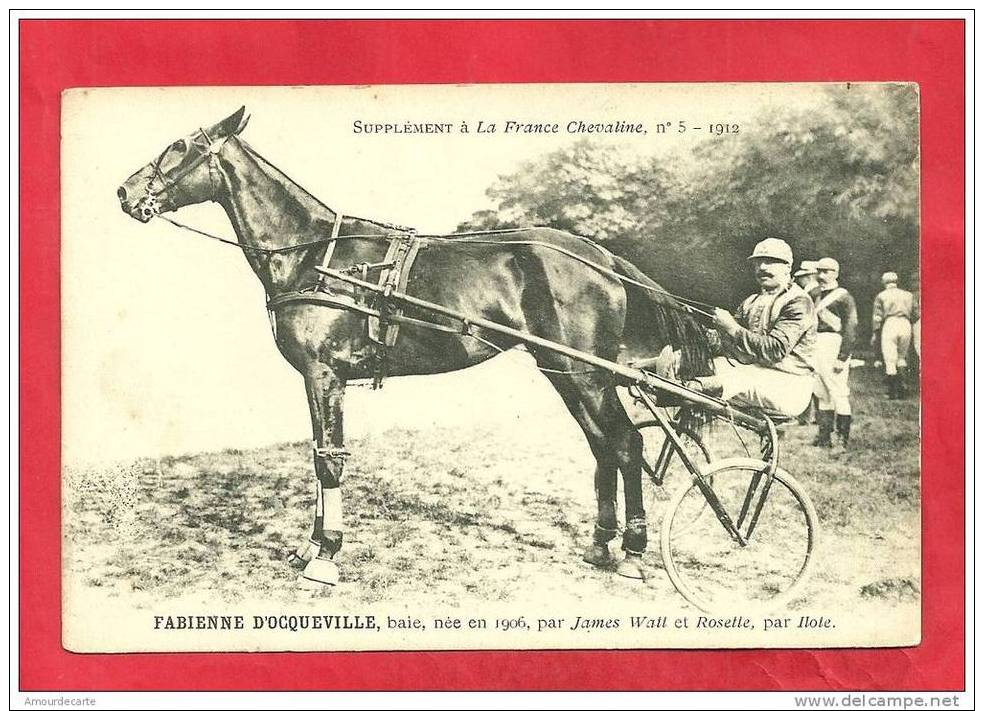 CPA N° 967 / FRANCE CHEVALINE N°5 - 1912 - FABIENNE D' OCQUEVILLE, BAIE NEE EN 1906,PAR JAMES WATT ET ROSETTE,PAR ILOTE - Hippisme