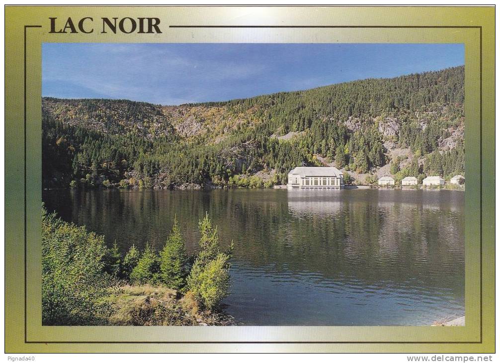 Cp , 68 , ORBEY , Le Lac Noir , Altitude : 954 M. , Superficie : 15ha , Profondeur : 45 M. - Orbey