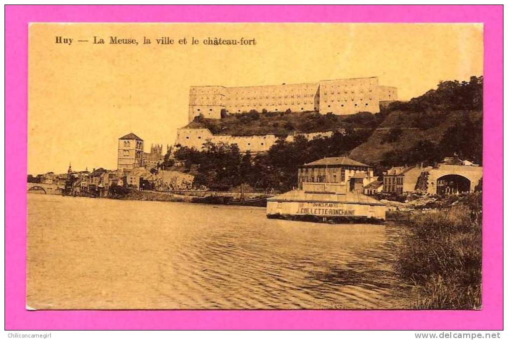 Huy - La Meuse - La Ville Et Le Château-Fort - Chaines Plantes J. Collette-Ronchaine - Huy