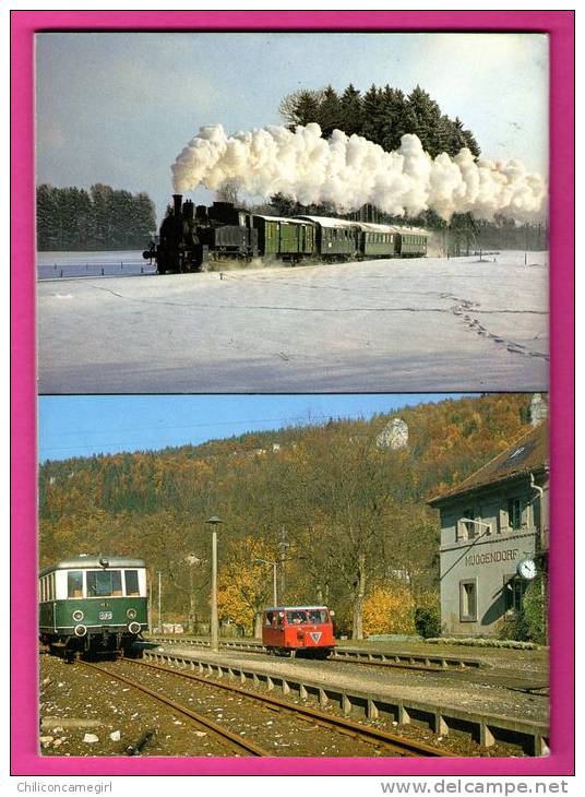Musée Des Chemins De Fer 1984 - Kursbuch Der Deutschen - Museums-Eisenbahnen 1984 - Museen & Ausstellungen