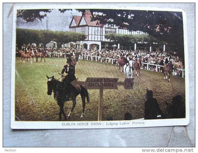 Horse Cheval Pferde  - Ireland  -Dublin Horse Show - Judging Ladies' Hunters      D95646 - Pferde