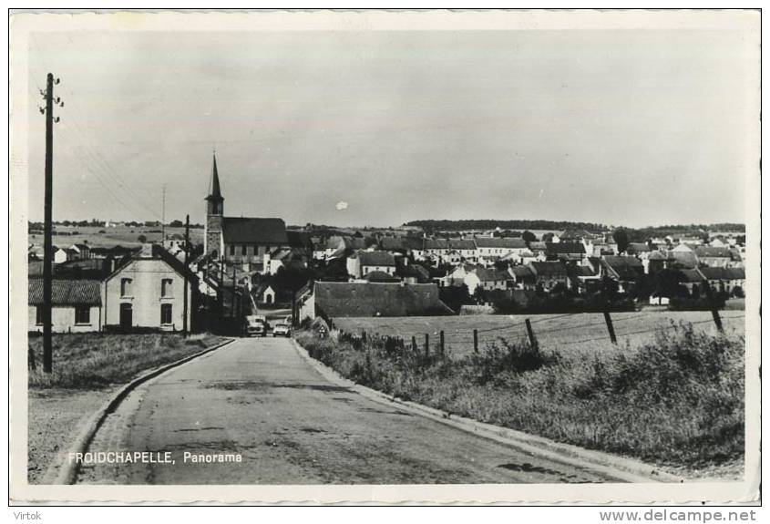 Froidchapelle :  Panorama - Autres & Non Classés