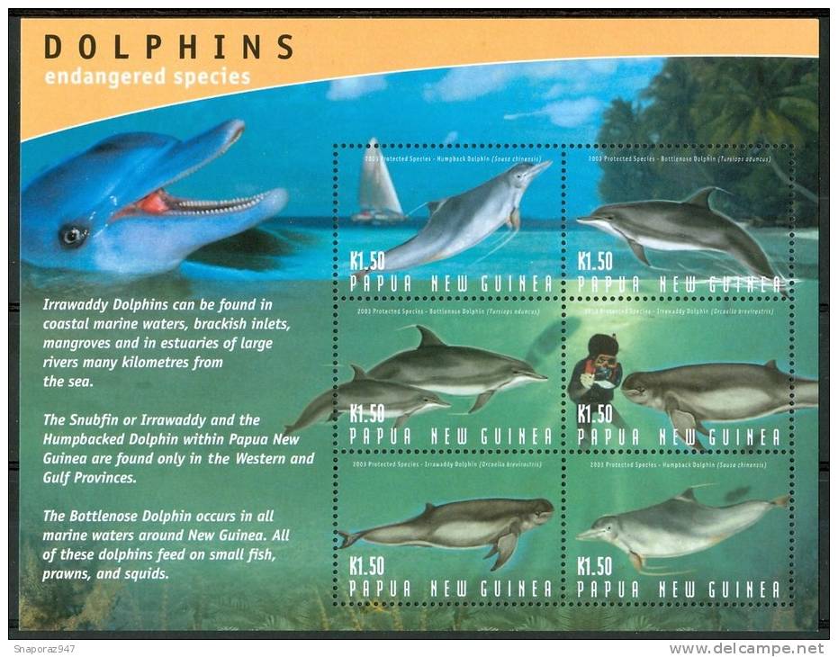 2003 Papua Nuova Guinea Delfini Dolphins Dauphins Cetacei Cetaceans Cètacès Block MNH** C156 - Dauphins