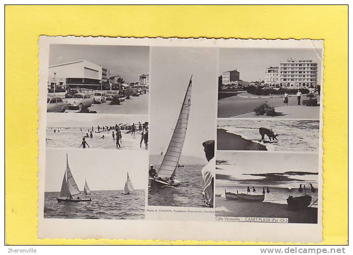 CPSM - CANET PLAGE - Voiliers , VoituresPanhard , Place , Cochon Sur La Plage - RARE - Photo Chauvin à Perpignan - Canet En Roussillon