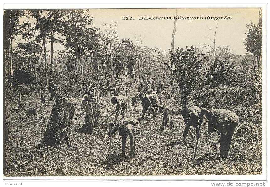 Carte Postale Ancienne Ouganda - Défricheurs Kikouyous - Uganda