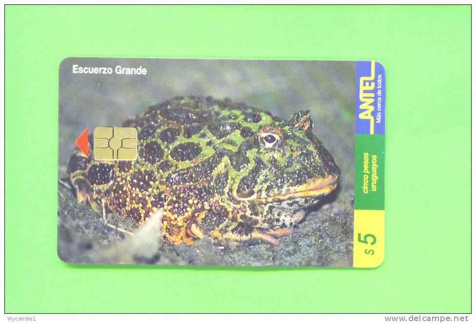 URUGUAY  -  Chip Phonecard As Scan - Altri – Africa