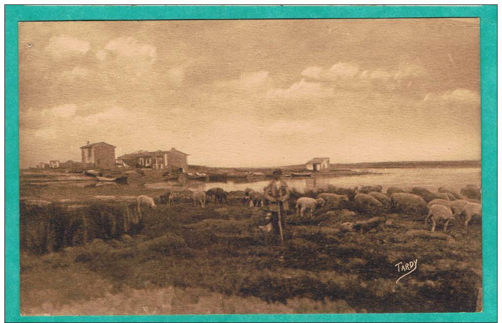 CPA  BOUCHES-DU-RHONE (13) LITTORAL DE MARSEILLE PORT DE PECHE DU PONTEAU ENTRE LA COURONNE ET MARTIGUES - - Non Classés