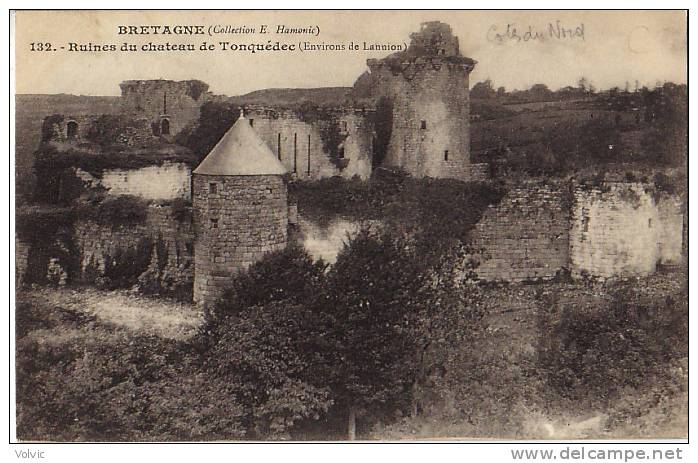 - 22 - TONQUEDEC - Ruines Du Château - Environs De Lannion - - Tonquédec