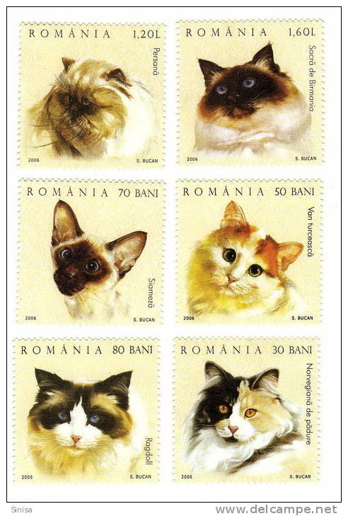 Romania / Animals / Cats - Ongebruikt