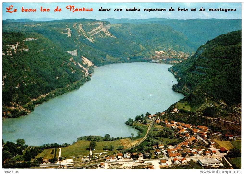 Le Lac De NANTUA : Altitude 480m - Vue D'ensemble, Au 1er Plan : Le Port, Au Fond : Nantua - Nantua