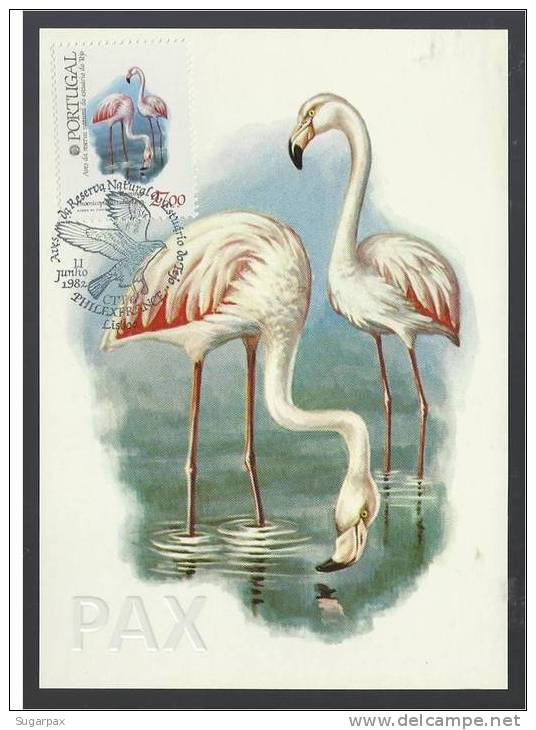 PORTUGAL - FLAMINGO - AVES DA RESERVA NATURAL DO ESTUÁRIO DO TEJO - BPC 22 - 2 SCANS - CARTE MAXIMUM - MAXICARD - Maximum Cards & Covers